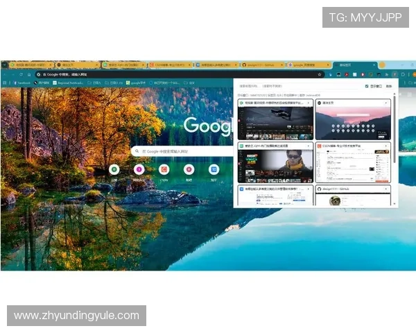 优化您的浏览体验：4008云顶浏览器的实用插件推荐与使用指南