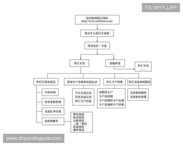 新手必看云顶公司开户流程详解及关键环节解析