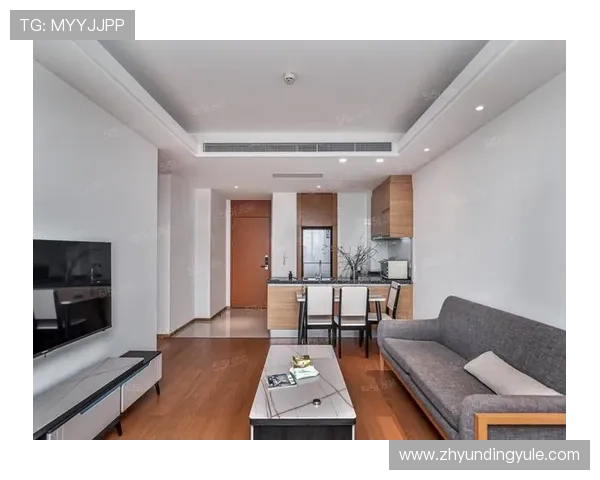 苏州有几家云顶公司及其各自的业务范围介绍