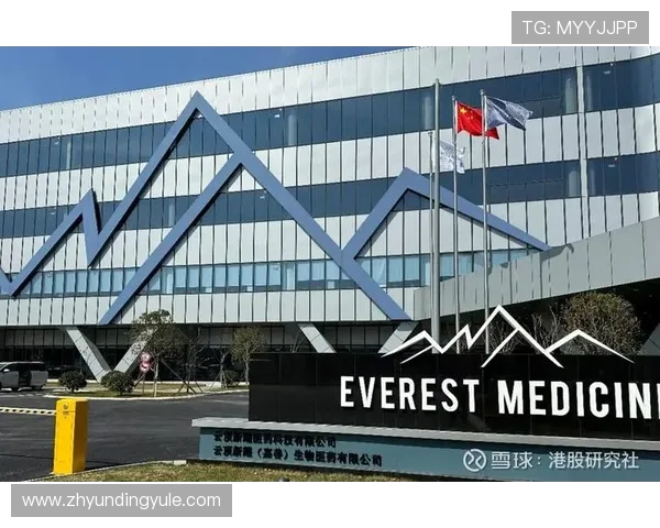 香港云顶国际有限公司全面解析：公司背景、发展历程与行业地位