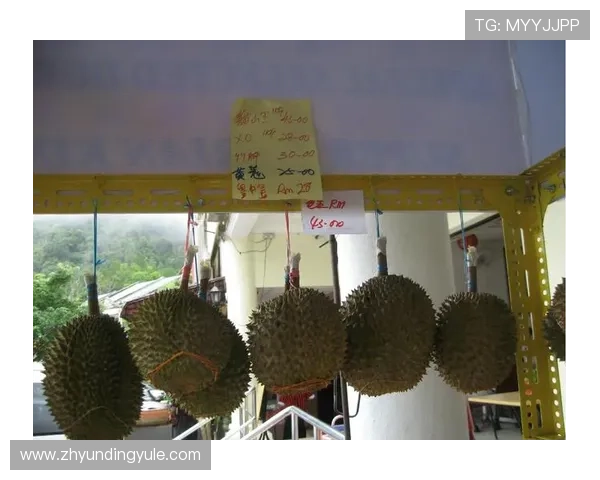 马来西亚云顶赌场攻略详细指南让你轻松赢取大奖